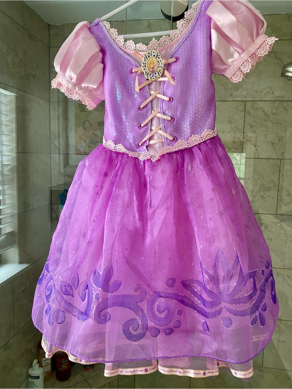 Disney Store Tangled/Rapunzel Dress - Halloween Costume